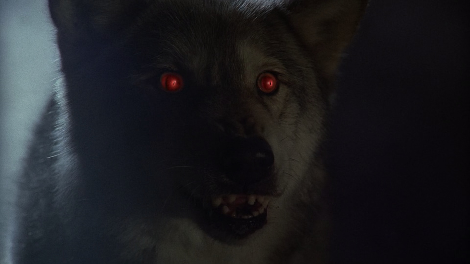 Alpha